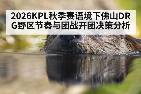 2026KPL秋季赛语境下佛山DRG野区节奏与团战开团决策分析